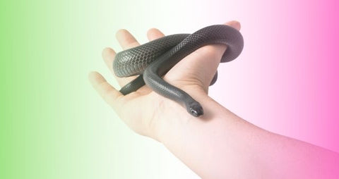 Masajes con serpientes y baños de cerveza: las 5 terapias alternativas más curiosas