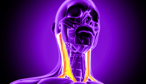 ¿Por qué tengo dolor en el cuello? Dolor crónico del esternocleidomastoideo